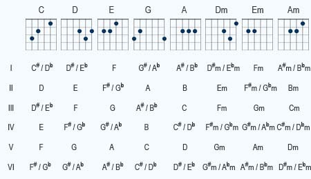 capo diagram