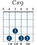 C#9 gitarrackord