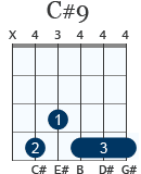 C#9 gitarrackord